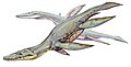 "Simolestes1DB.jpg" by User:DiBgd