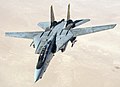"US_Navy_051105-F-5480T-005_An_F-14D_Tomcat_conducts_a_mission_over_the_Persian_Gulf-region.jpg" by User:FOX 52